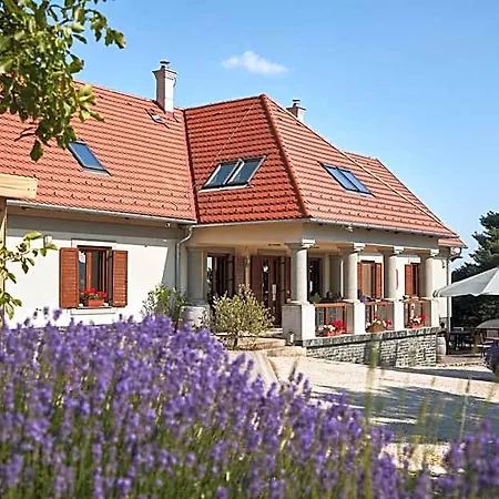 Bed & Breakfast Tolnay Vendeghaz