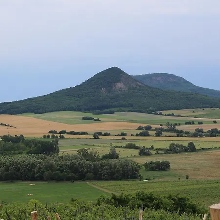 Tolnay Vendeghaz Bed and Breakfast 4*