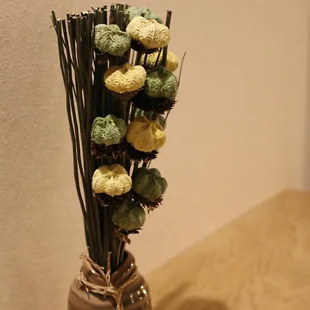 Bed & Breakfast Tolnay Vendeghaz 4*