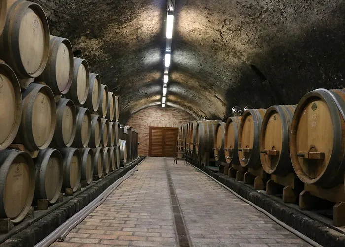 Tolnay Vendeghaz ベッド・アンド・ブレックファスト Gyulakeszi