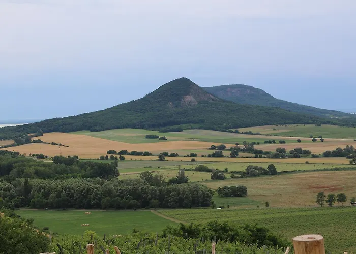 Tolnay Vendeghaz Bed & Breakfast 4*