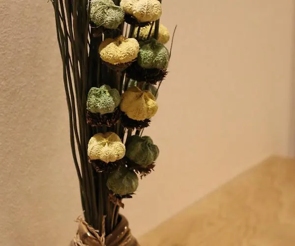 Bed & Breakfast Tolnay Vendeghaz 4*